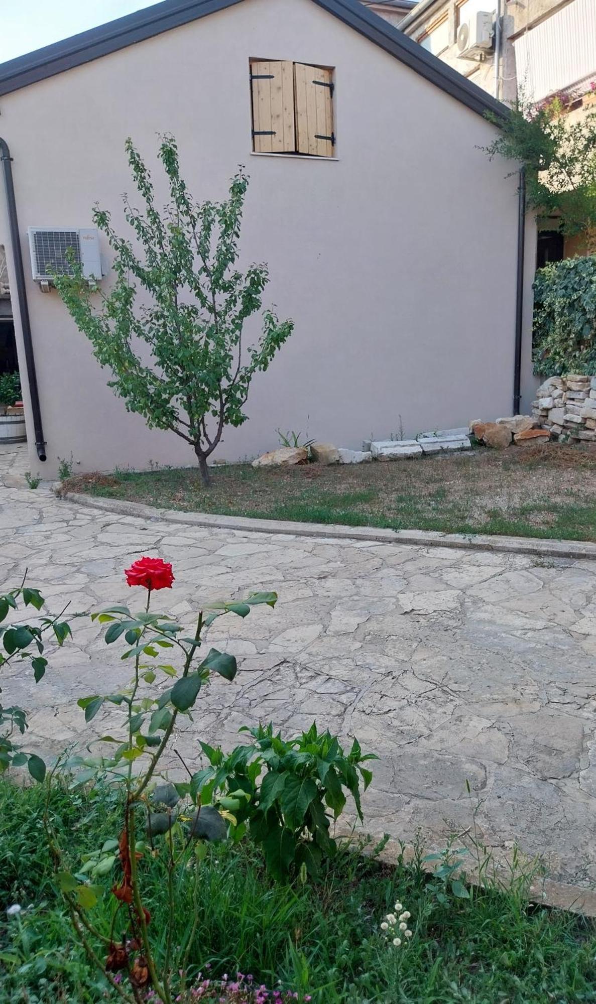 Appartamento Conclavia Zara Esterno foto
